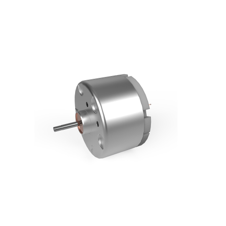 Brush DC Motor RK-500CA 