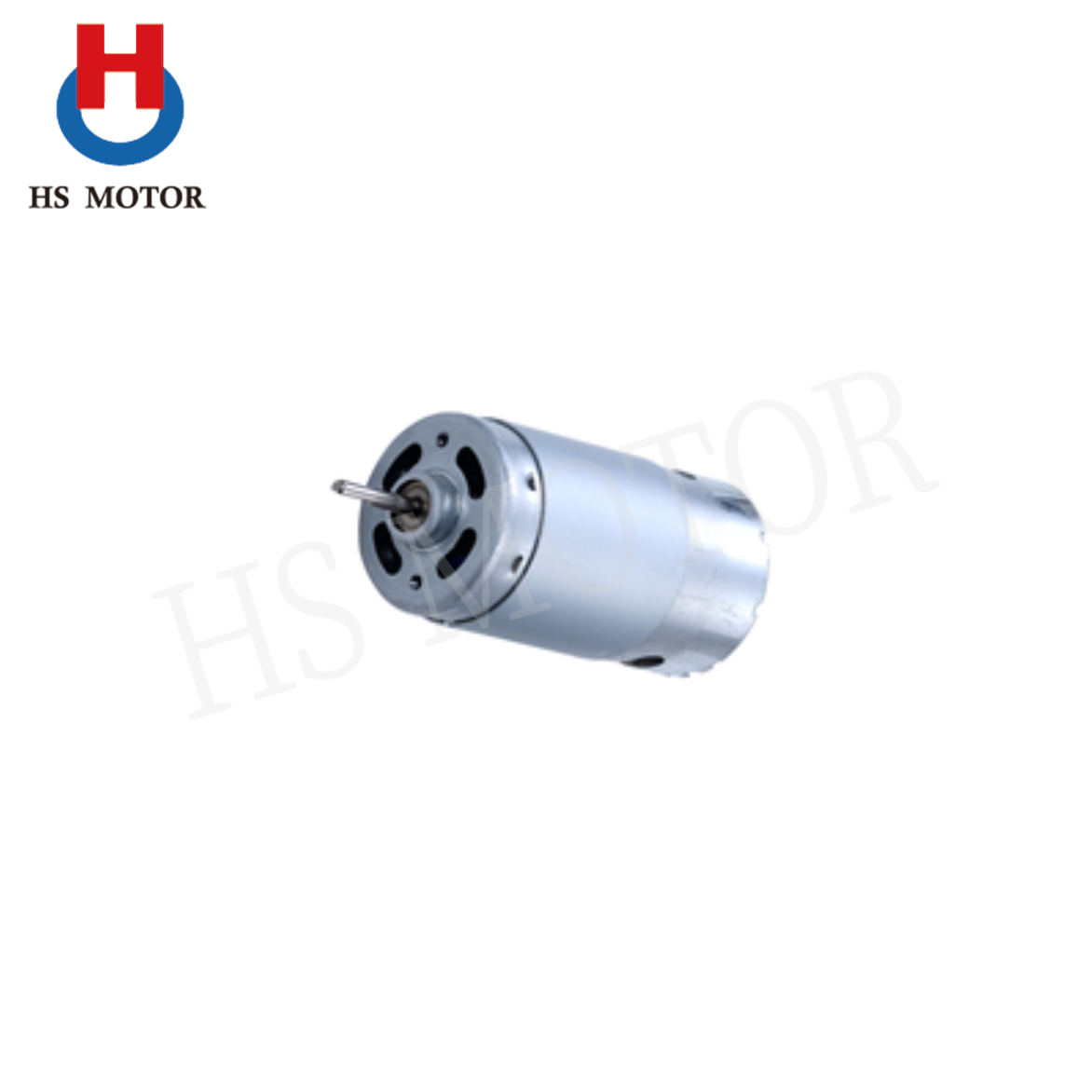 Brush DC Motor RS-575PH - Buy DC Motor, Micro DC MOTOR Product on ...